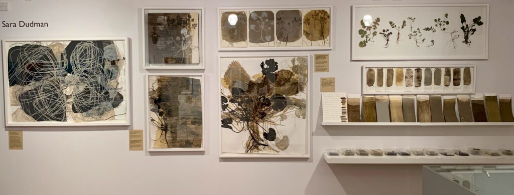 FLOW exhibition at the Somerset Rural Life Museum